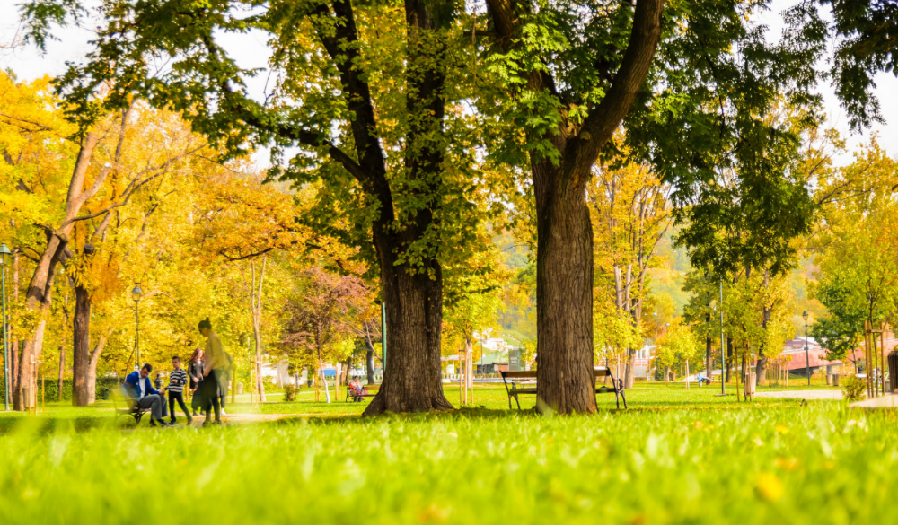 The Most Beautiful Parks and Green Spaces in Marbella