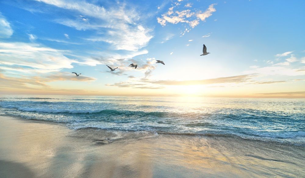 650 Million Euro Investment Approved For The New Four Seasons Hotel in Marbella