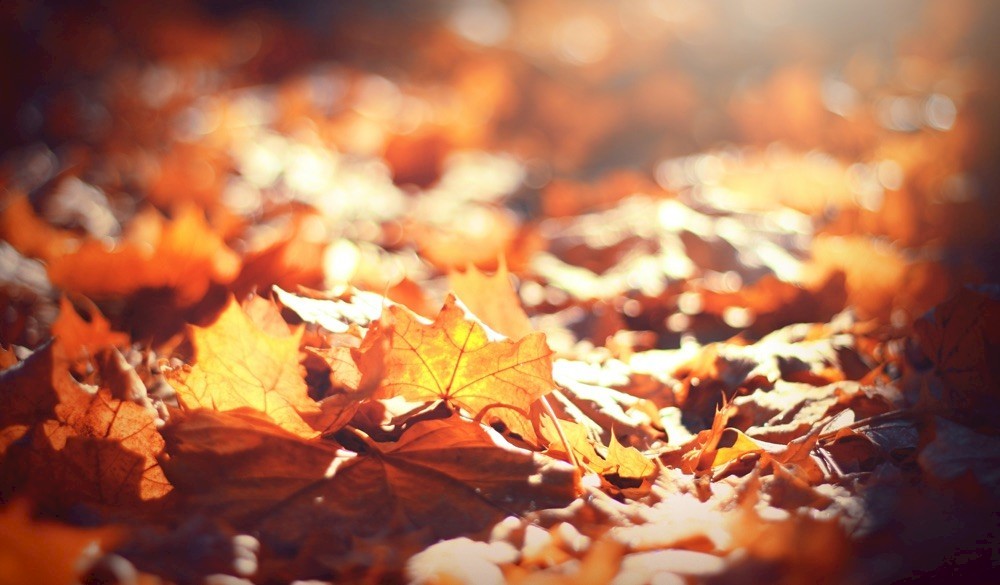 Places to visit in Malaga this autumn