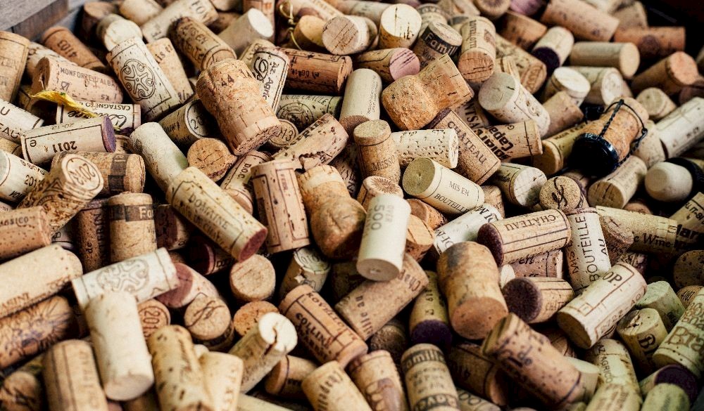 Wine tasting in Andalusia