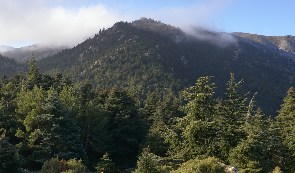 Sierra de las Nieves – Paradise Found