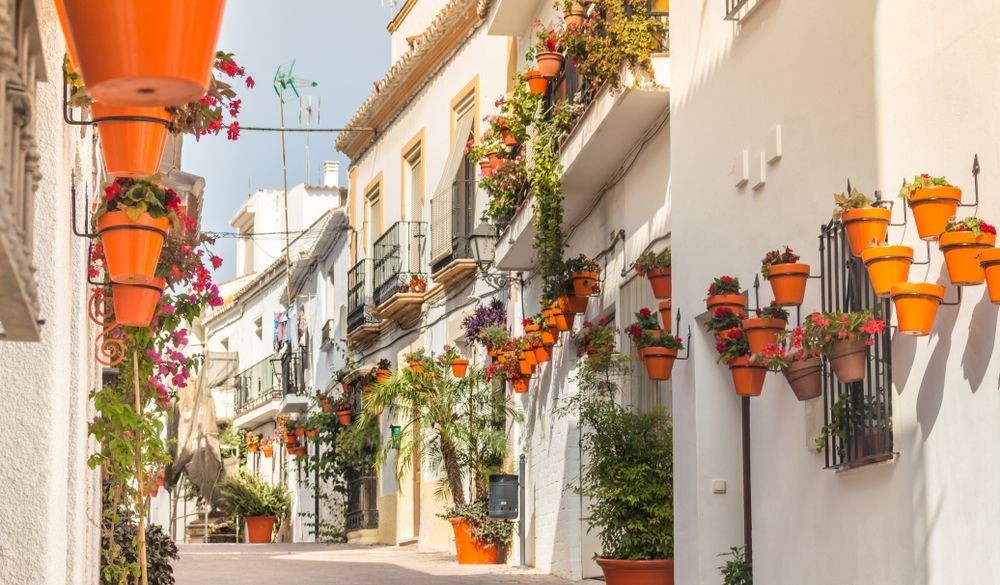 Why Choose Estepona To Buy Property? | Asset Folio