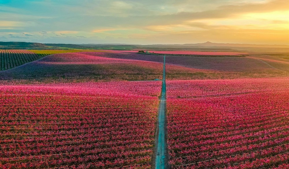 It's Been A Long Road To Stability ........ Part 2